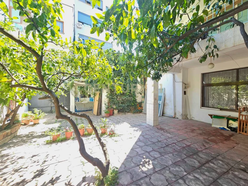 Tirane, jepet me qera magazine , 500 m² 1.000 € 