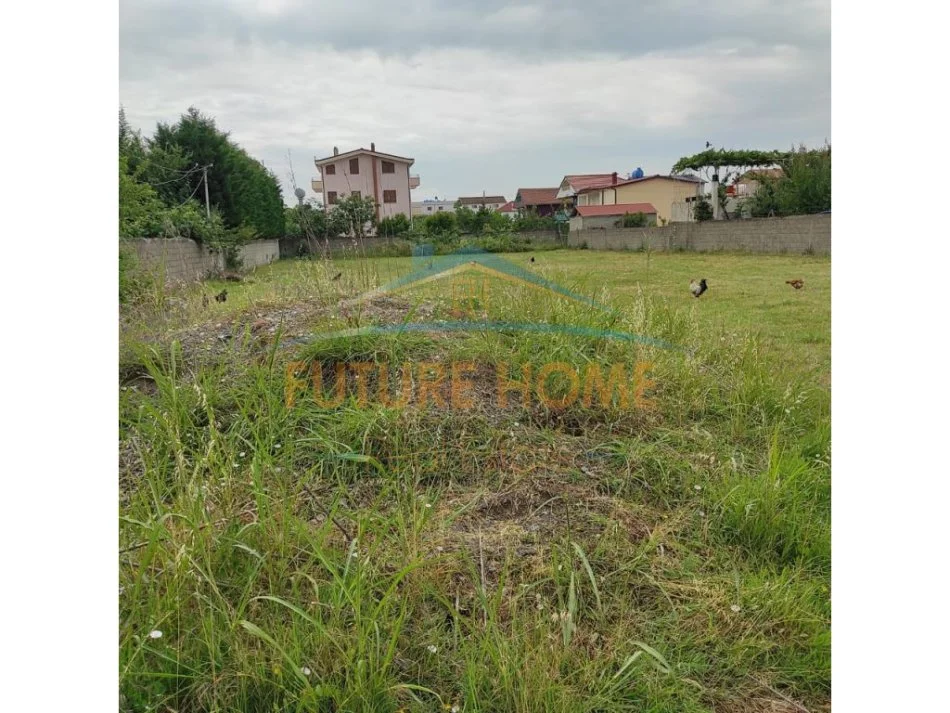 Shitet,Tokë,Kamëz UNA21465