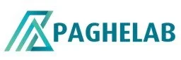 PagheLab Shpk