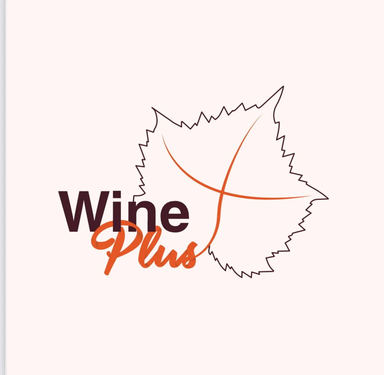 Tirane, shes Biznes Wineshop &amp; Bar 50.000 €