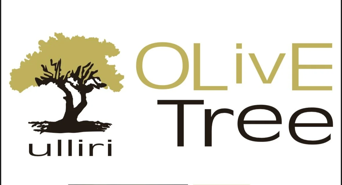 Olive Tree