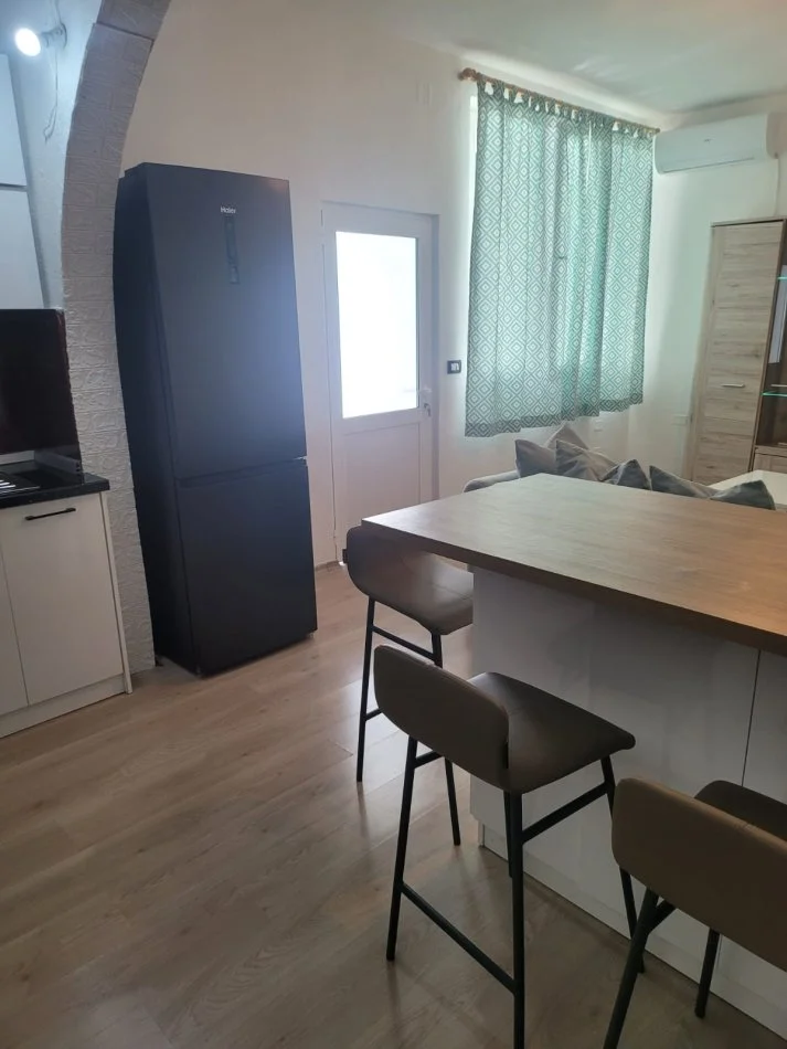 Tirane, jepet me qera apartament 1+1 Kati 2, 160 m² 500 € (Ali Demi)