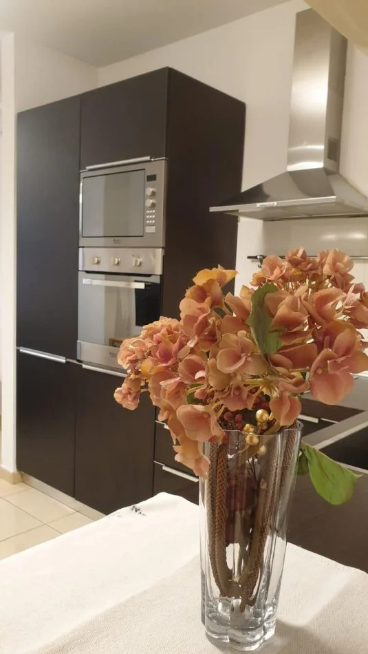 Tirane, jepet me qera apartament 1+1 , 68 m² 700 € (Rruga Sulejman Delvina)