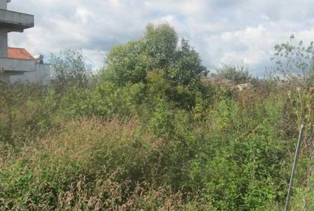 Fushe Kruje, Shitet Truall 300 m² dhe Ndertese 100 m², Cmimi Fillestar 1,080,000 Leke