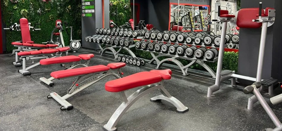 Tirane,SHITET BIZNESI PALESTER OSE VETEM PAJISJET PANATTA NE GJENDJE PUNE TE MIRA.