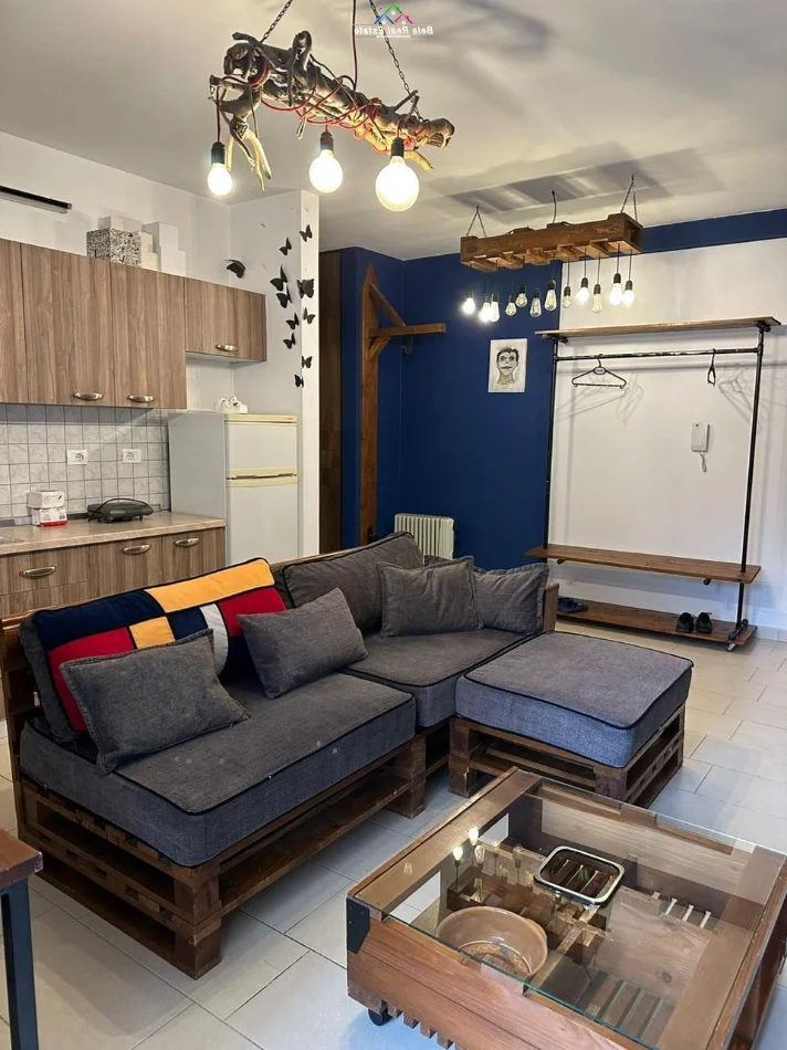 Tirane, jepet me qera apartament 1+1+Ballkon Kati 2, 57 m² 570 € (kopshti zoologjik)