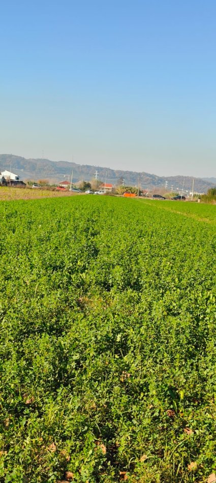 Tirane, shes toke bujqesore , 8.000 m² 400.000 € (Uneversiteti Epoka)