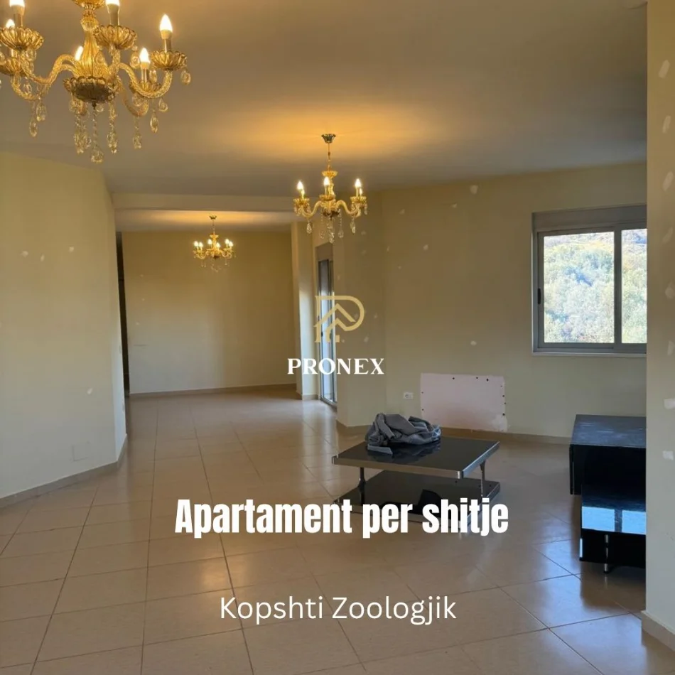 Tirane, shitet apartament 3+1 Kati 2, 211 m² 330.000 € (Kopshti Zoologjik)