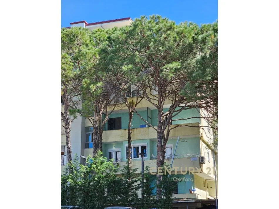 SHITET EKSKLUZIVE STUDIO ME PAMJE BALLORE NE DET, GOLEM