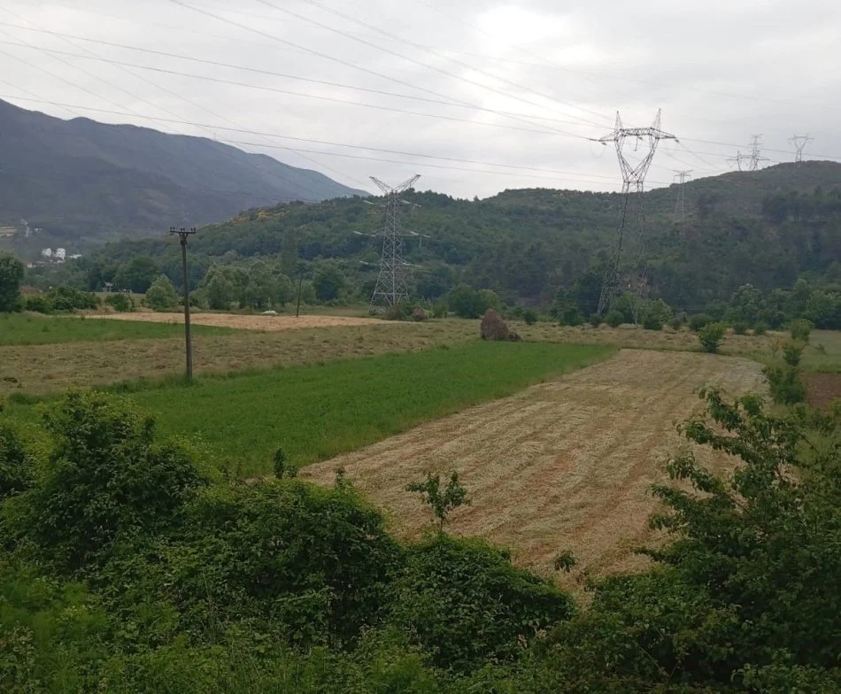 Tirane, shitet toke , 1,400 m² 91,000 € 