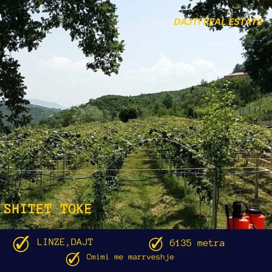 Tirane, shitet toke bujqesore , 6.135 m² (Linze,Dajt,afer Komunes)