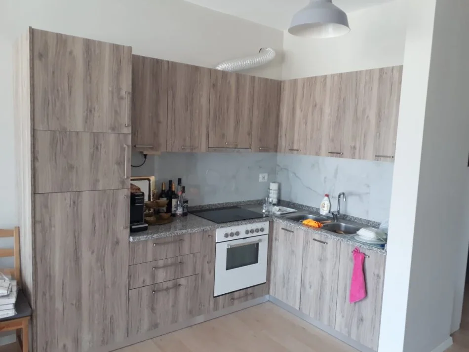 Tirane, jepet me qera apartament 1+1 Kati 2, 70 m² 550 € (Ali Demi, prane Maternitetit te Ri)