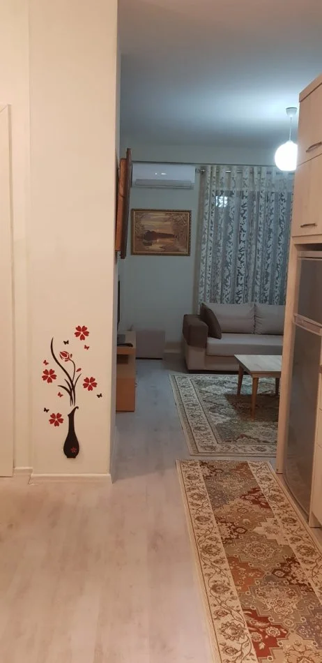 Tirane, jap me qera apartament 1+1+Ballkon Kati 2, 64 m² 500 € (21 Dhjetori)