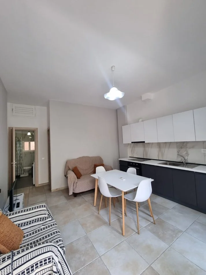 Tirane, jepet me qera apartament 1+1 Kati 0, 40 m² 370 € (Rruga e Elbasanit)