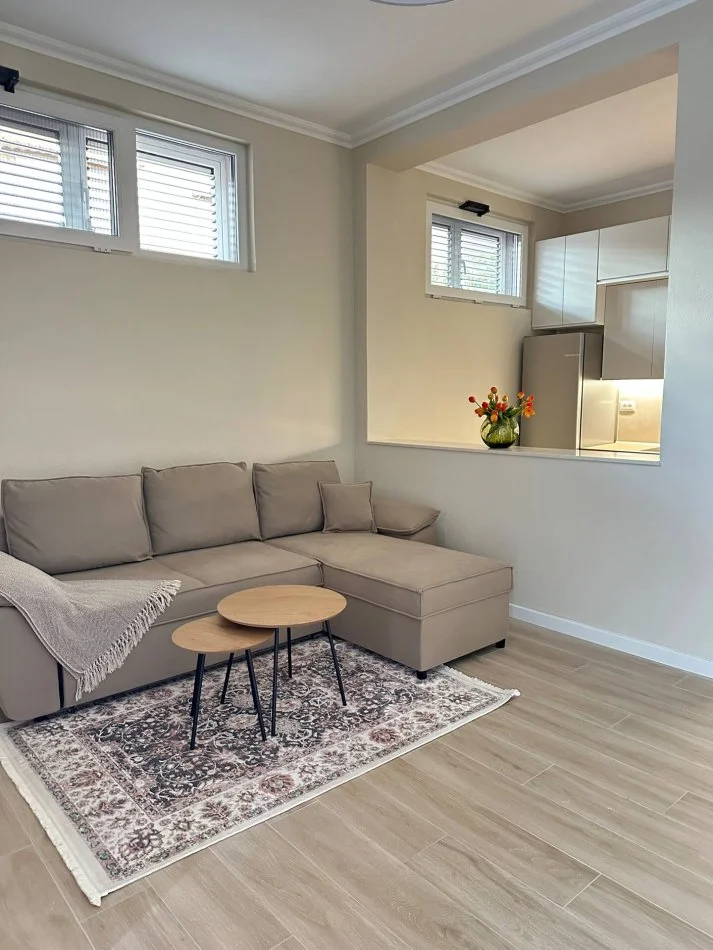 Tirane, jepet me qera apartament 1+1 Kati 0, 55.000 leke