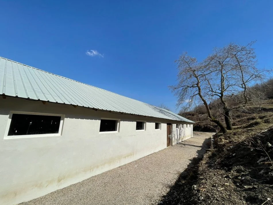 Tirane, jepet me qera magazine Kati 0, 700 m² 1.000 € (Dajt)