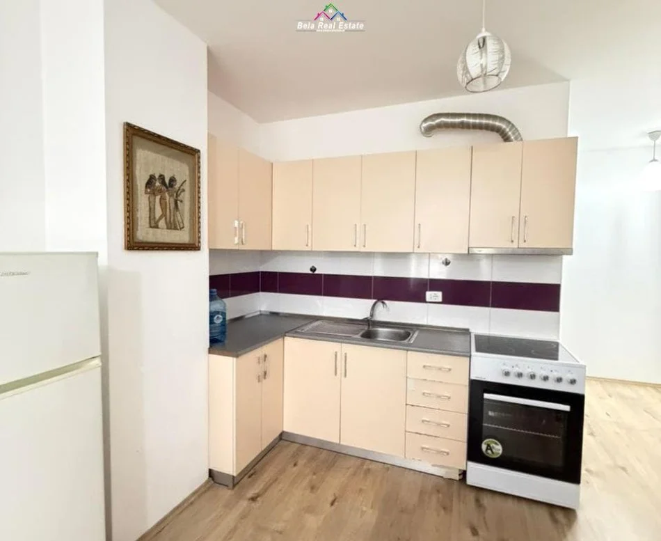 Tirane, jepet me qera apartament 1+1 Kati 2, 65 m² 570 € (Rruga Frosina Plaku)
