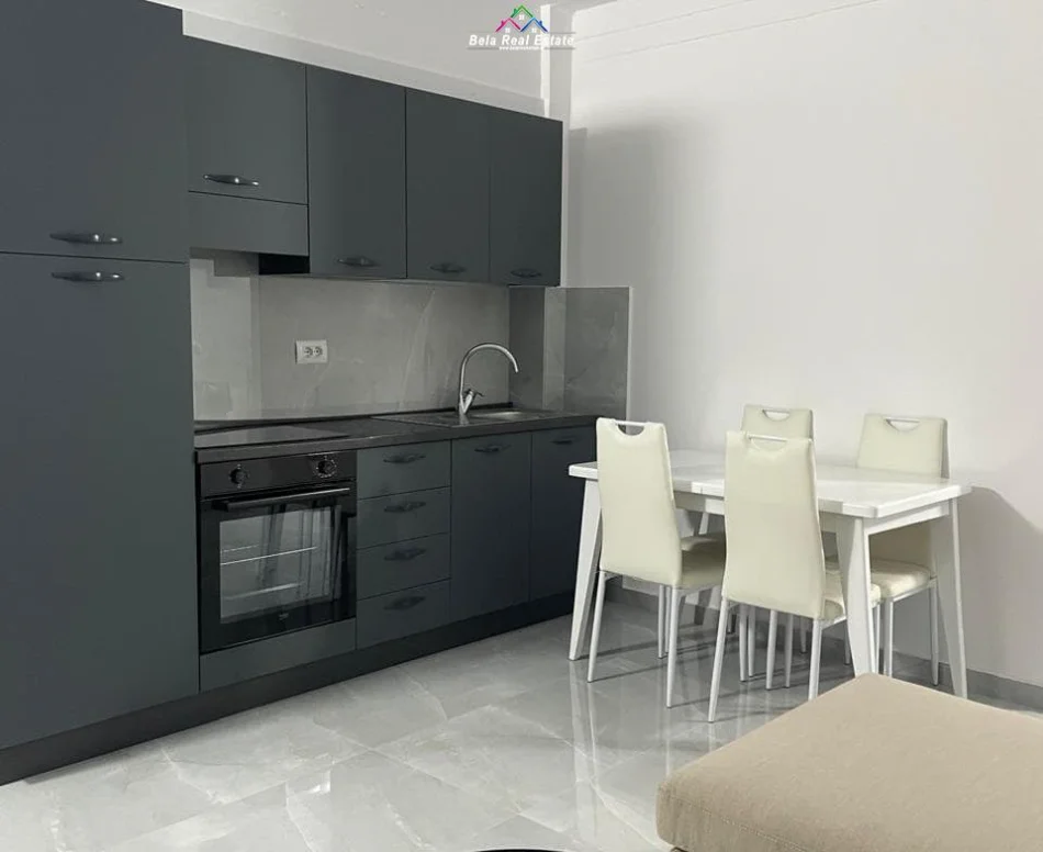 Tirane, jepet me qera Vile 1+1+Ballkon Kati 1, 57 m² 420 € (prane Syri Tv)