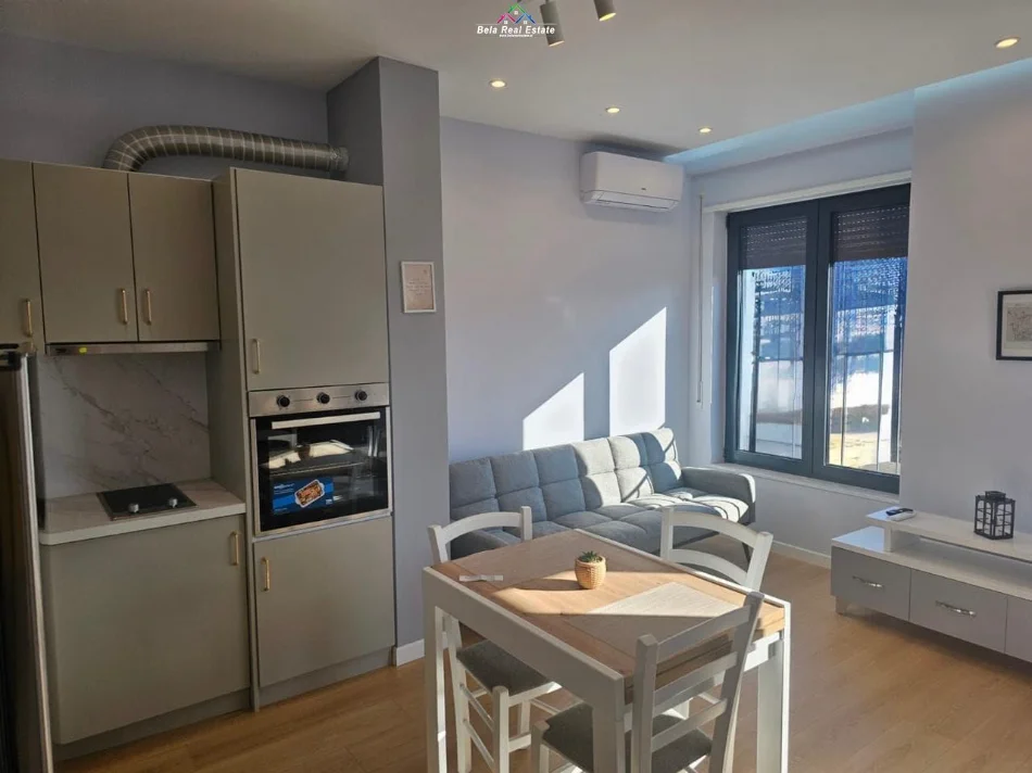 Tirane, jepet me qera apartament 1+1 Kati 7, 55 m² 630 € (ish Stacioni i Trenit, rruga Karl Gega)