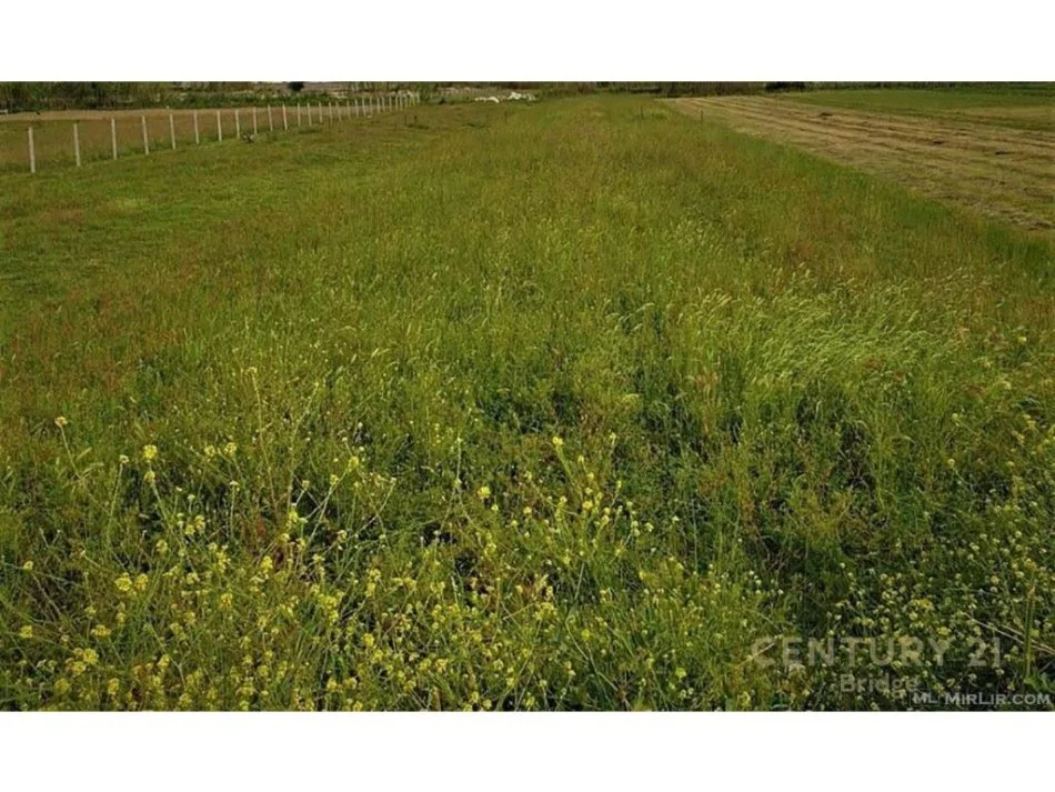 Tirane, shitet toke , 500 m² 110.000 € (Shitet toke ne Sauk)