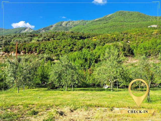 Tirane, jepet me qera shtepi 1 Katshe Kati 0, 50 m² 300 € (Priske e Madhe)