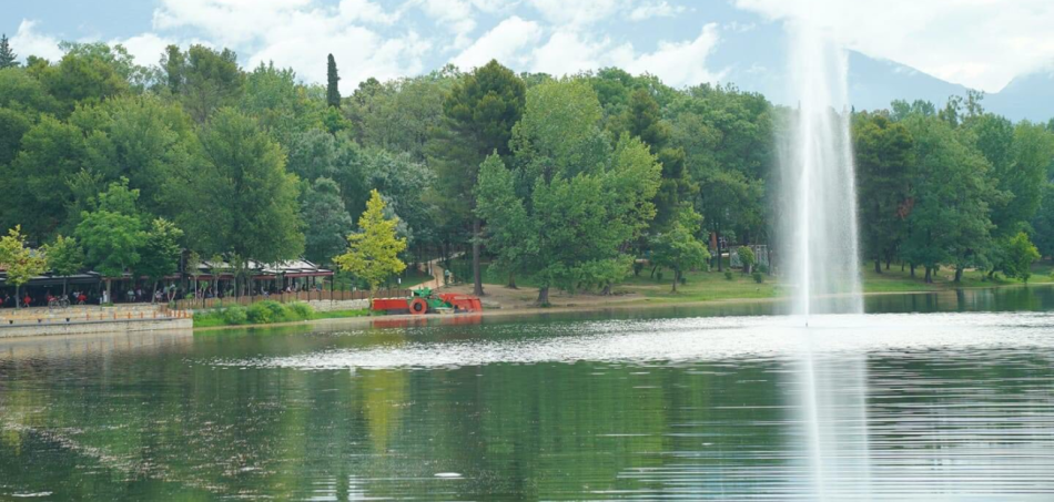 Tirane, jepet me qera zyre Kati 1, 180 m² 3.000 € (Liqeni Artificial i Tiranes)