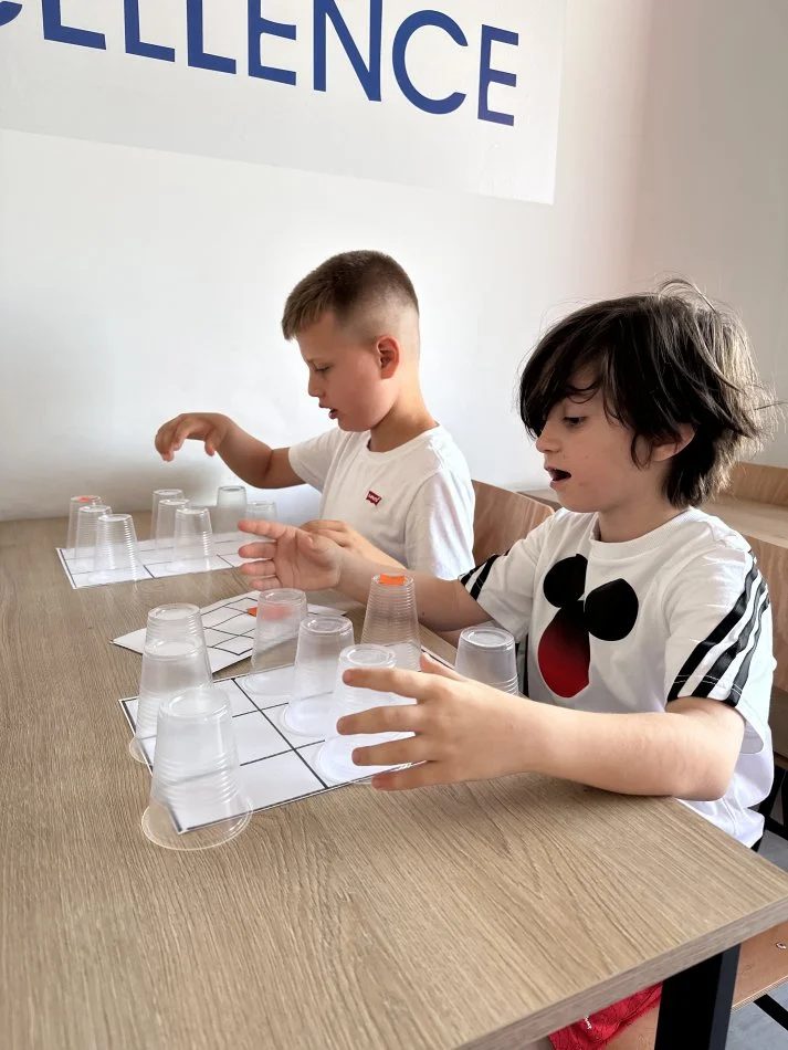 Tirane, kurse per lendet shkollore anglisht | italisht | gjermanisht | fren... Kamp Veror 2025