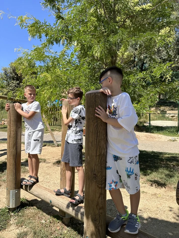 Tirane, kurse per lendet shkollore anglisht | italisht | gjermanisht | fren... Kamp Veror 2025