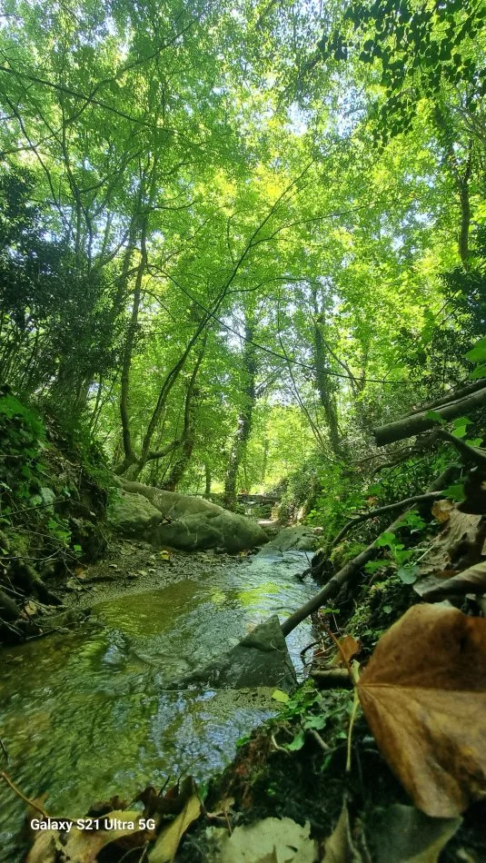 Shqiperi, shpallje Vos vacances en Albanie