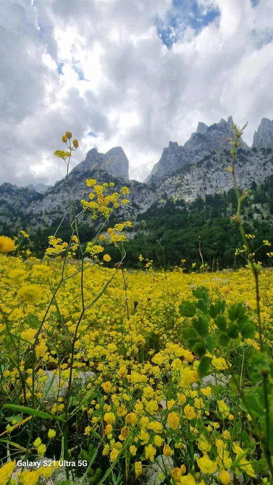 Vos vacances en Albanie. Circuit en groupe, solo, couple ou en famille !