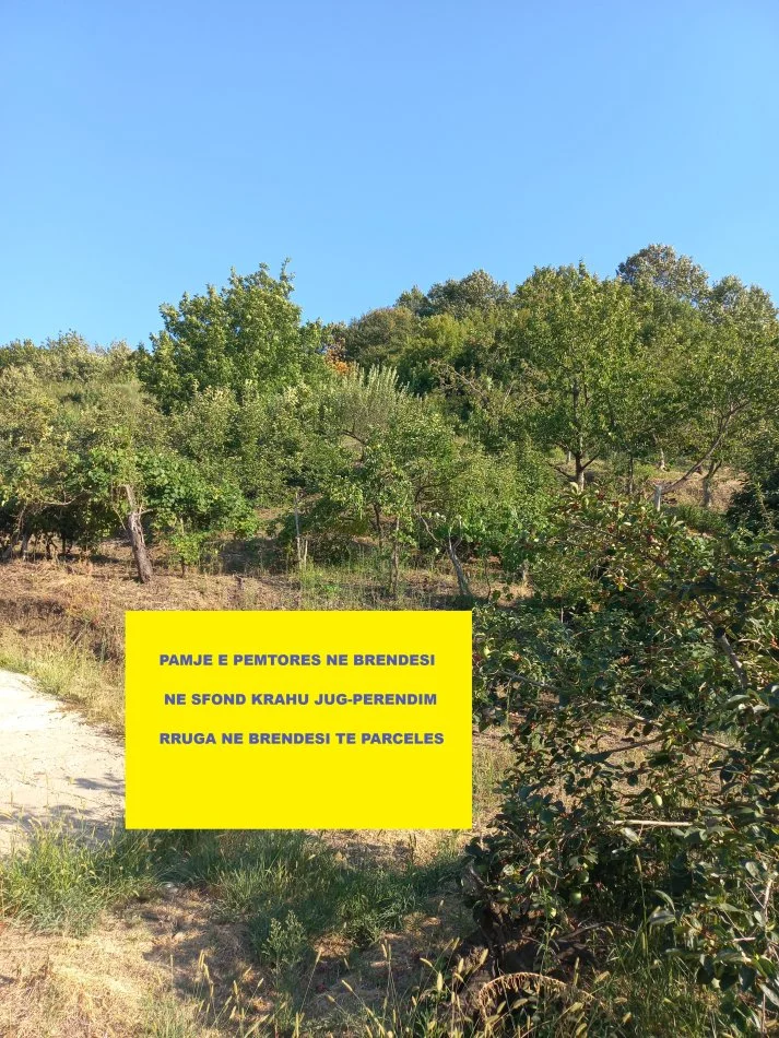 Tirane-Elbasan, Shitet, Tokë-Pemtore, me mundësi ndërtimi edhe shtëpi banimi, sip.7'400m², Cmimi  115'000 €, pranë autostradës Tirane-Elbasan, në daljen e parë tunelit Krrabës, në zonën Mamël / Dopaj, 24-km / 21min  auto nga qendra Tiranës dhe 13-km nga Elbasani.