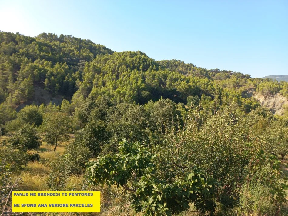 Tirane-Elbasan, Shitet, Tokë-Pemtore, me mundësi ndërtimi edhe shtëpi banimi, sip.7'400m², Cmimi  115'000 €, pranë autostradës Tirane-Elbasan, në daljen e parë tunelit Krrabës, në zonën Mamël / Dopaj, 24-km / 21min  auto nga qendra Tiranës dhe 13-km nga Elbasani.