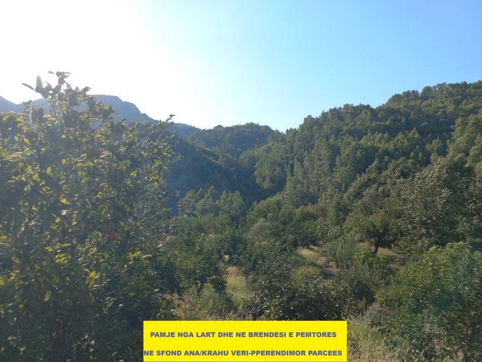 Tirane-Elbasan, Shitet, Tokë-Pemtore, me mundësi ndërtimi edhe shtëpi banimi, sip.7'400m², Cmimi  115'000 €, pranë autostradës Tirane-Elbasan, në daljen e parë tunelit Krrabës, në zonën Mamël / Dopaj, 24-km / 21min  auto nga qendra Tiranës dhe 13-km nga Elbasani.