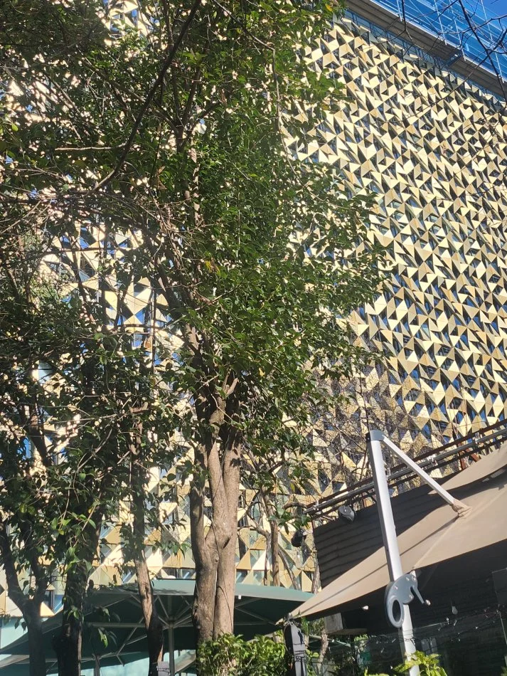 Tirane, shes Kati 4, 306 m² 2.000.000 € (Vaso Pasha)