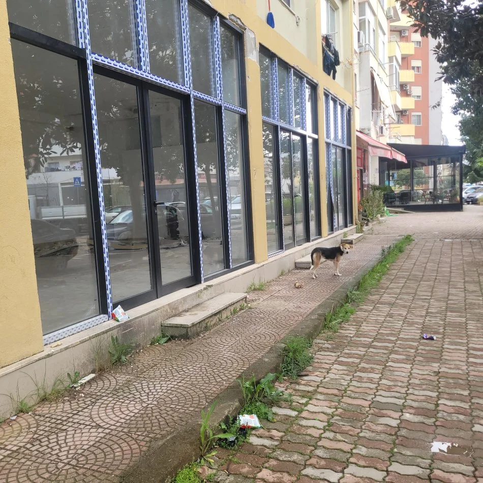 Tirane, shitet dyqan Kati 0, 330 m² (Astir) cmimi 2200 euro/m2
