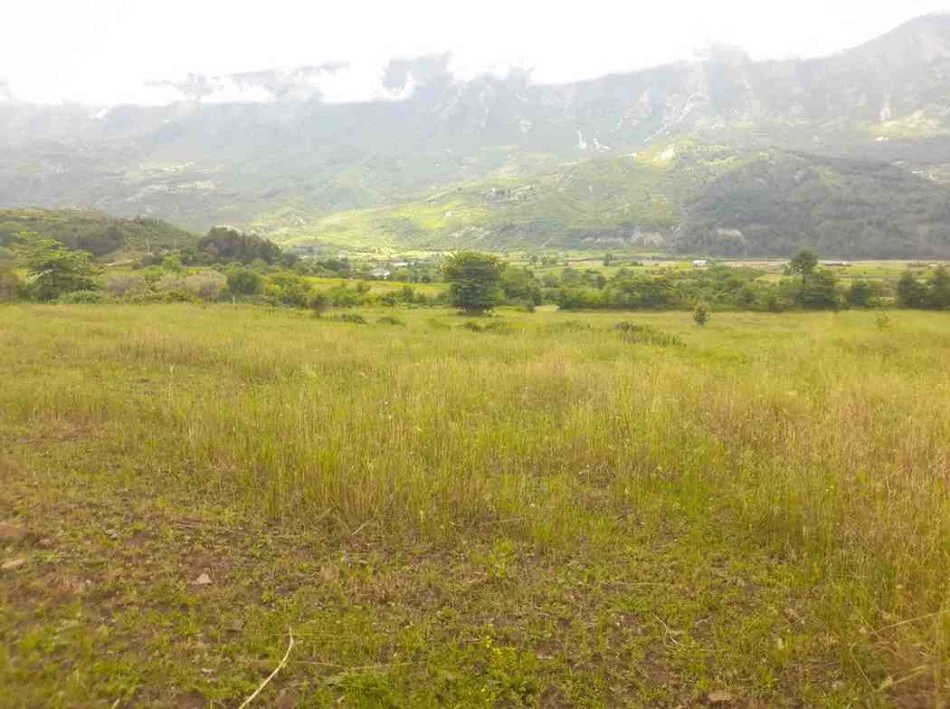 Permet, shitet toke bujqesore , 6.740 m² (Qilarisht,Përmet)