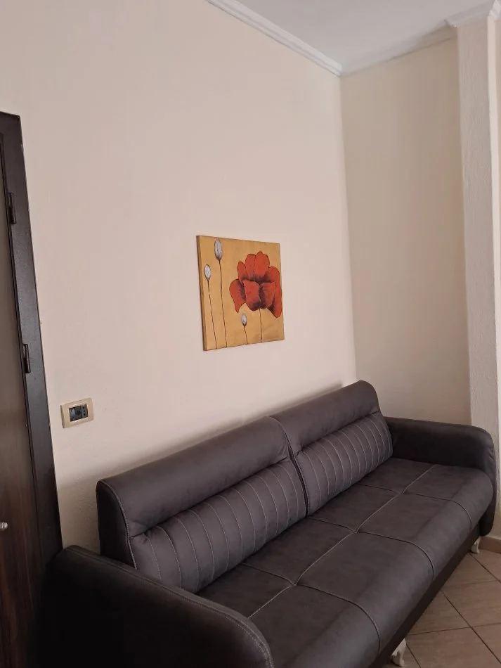 Tirane, jepet me qera apartament 1+1 Kati 4, 40 m² 320 € (Rruga 5 maji)