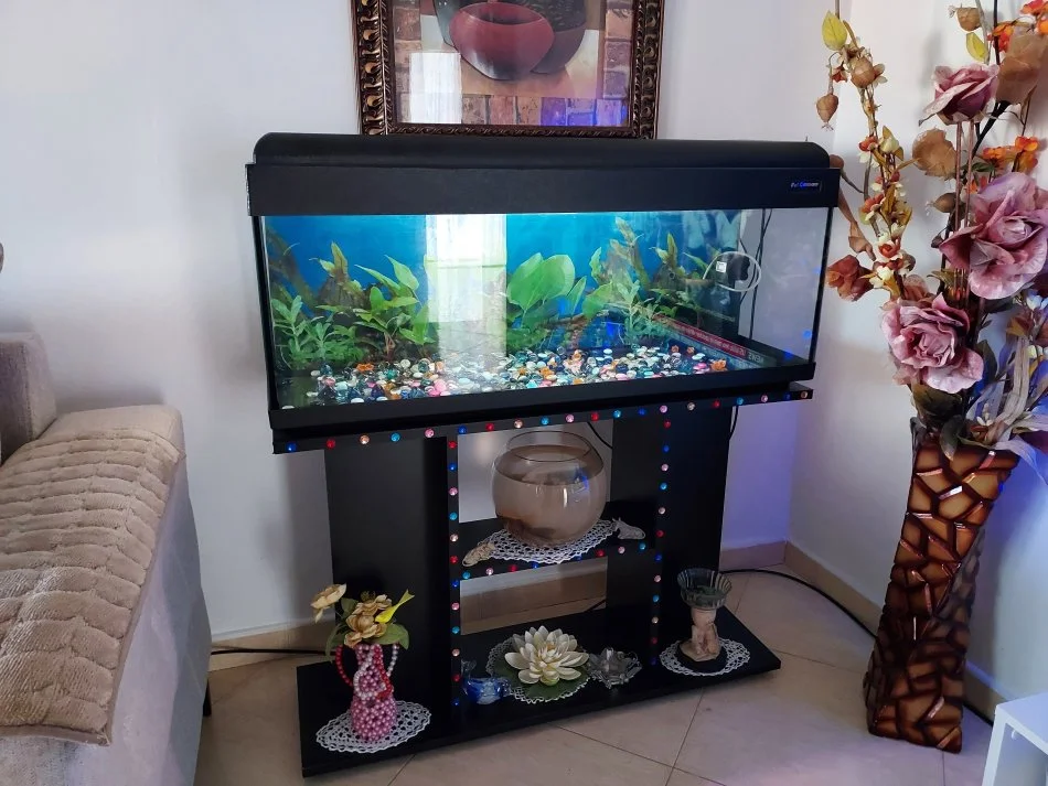 Vlore, shes Akuarium ITALIAN 550 €