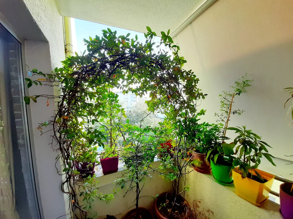 Tirane, shitet apartament 2+1+Ballkon Kati 4, 100 m² 160.000 € (Rruga Rexhep Bastar)