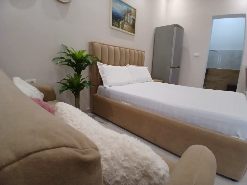 Tirane, jepet me qera apartament 1+1 Kati 1, 35 m² 390 € (21 dhjetori)