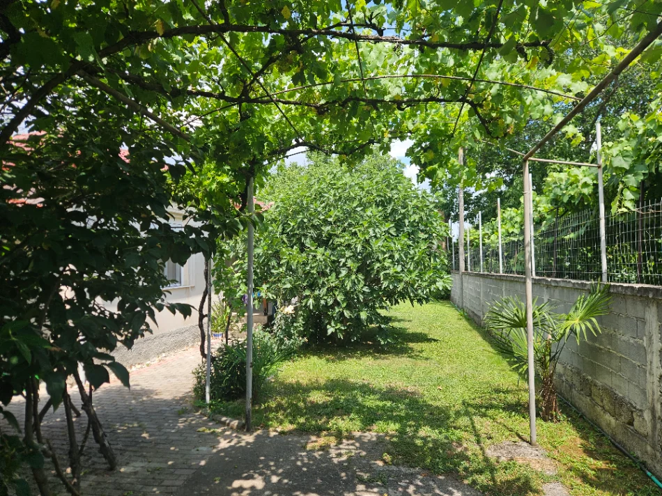 Korce, shitet shtepi Vile 2 Katshe Kati 2, 1 m² 117.000 € (Vashtemi)