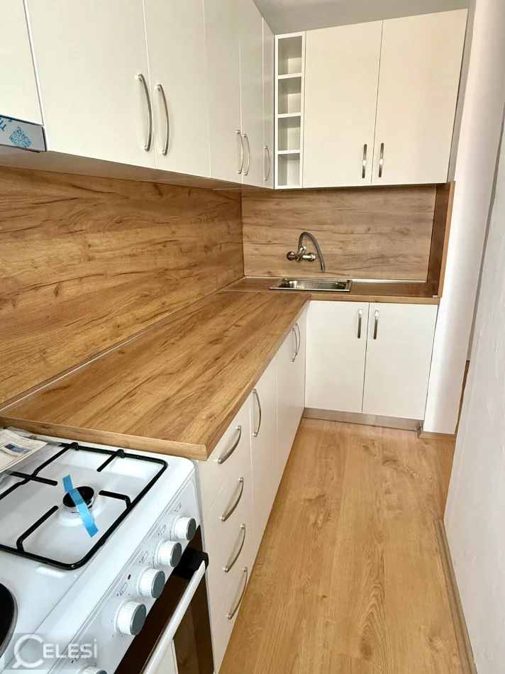 Tirane, jepet me qera apartament 1+1 Kati 2, 56 m² 500 € (Xhamlliku / Rruga Bardhyl)