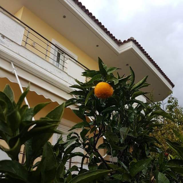 Dhermi, shitet Vile ne plazh 5+1+BLK Kati 2, 163 m² 350.000 Euro (Dhermi,Vlore)