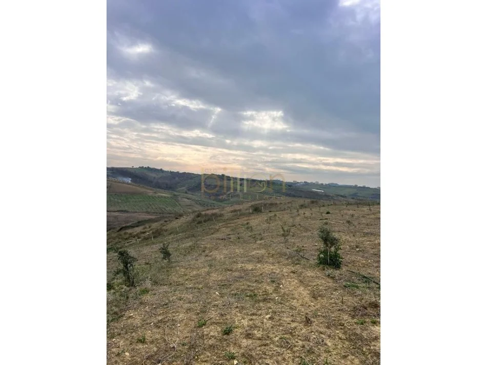 Durres, shitet truall , 8.060 m² 283.000 € (Arapaj, Durrës, Albania)