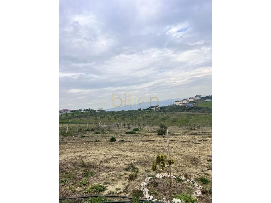 Durres, shitet truall , 8.060 m² 283.000 € (Arapaj, Durrës, Albania)