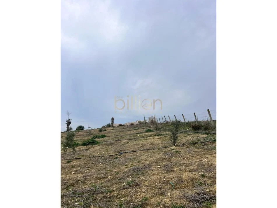 Durres, shitet truall , 8.060 m² 283.000 € (Arapaj, Durrës, Albania)