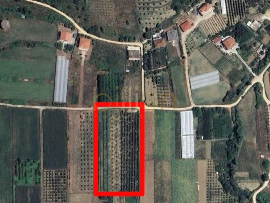 Tirane, shitet , 4.800 m² 210.000 € (Ndroq)