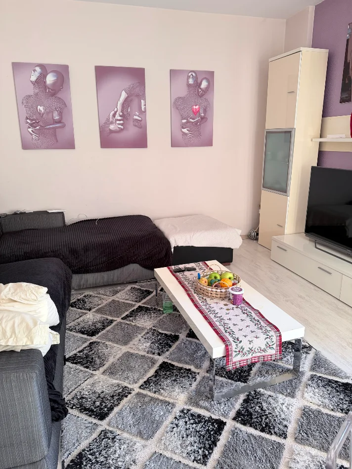 Tirane, jepet me qera apartament 1+1 prane Maternitetit të Ri