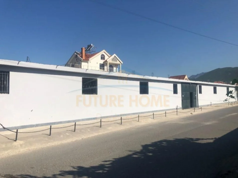 Tirane, jepet me qera Kati 0, 400 m² 1.000 € 