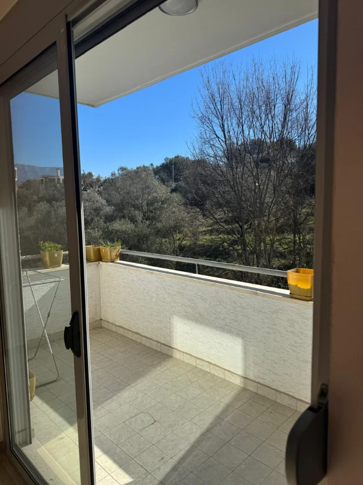 Tirane, shitet apartament 3+1 Kati 2, 211 m² 330.000 € (Kopshti Zoologjik)